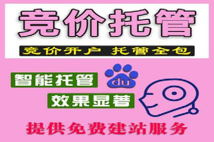 某企业SEM广告投放的ROI提升之路